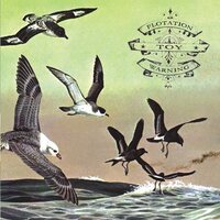 Flotation Toy Warning - Bluffer's Guide To The Flight Deck vinyl cover