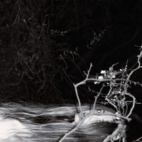 Flower Liar - Geiger Counter vinyl cover