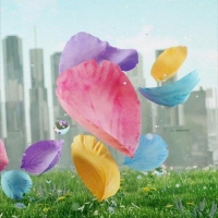 Flower O.s.t. - Flower vinyl cover