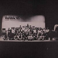 Flower Travellin Band - Make Up vinyl cover