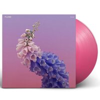 Flume - Skin vinyl cover
