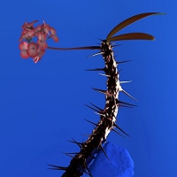 Flume - Skin Companion Ep Ii vinyl cover