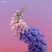 Flume - Skin vinyl cover