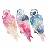 Flying Colors - Mindfullness vinyl cover