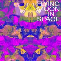 Flying Moon In Space - Flying Moon In Space vinyl cover