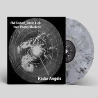 Fm Einheit_David Link Feat. Poetry Machine - Radal Angel (Gray Marble) vinyl cover