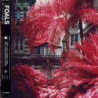 Foals - Everything Not Saved Will Be Lost Part 1 vinyl cover