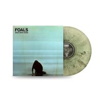 Foals - What Went Down (Clear & Black) vinyl cover