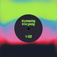 Fontaines D.C. - It's Amazing To Be Young / Before You I Just Forget vinyl cover