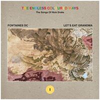 Fontaines D.c. / Let's Eat Grandma - The Endless Coloured Ways: The Songs Of Nick Drake vinyl cover