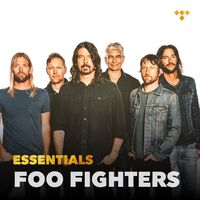 Foo Fighters - The Essential Foo Fighters vinyl cover