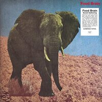 Foodbrain - Social Gathering vinyl cover