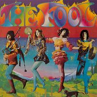 Fool - Fool vinyl cover