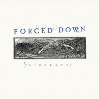 Forced Down - Liberate vinyl cover