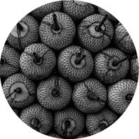 Forest Drive West - Parallel Space vinyl cover