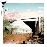 Forest Law - Forest Law vinyl cover