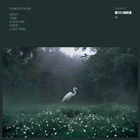Forgiveness - Next Time Could Be Your Last Time vinyl cover