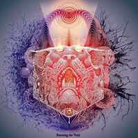 Forming The Void - Reverie vinyl cover