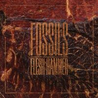 Fossils - Flesh Hammer vinyl cover