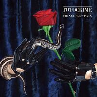 Fotocrime - Principle Of Pain Download vinyl cover