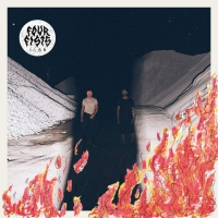 Four Fists - 6666 vinyl cover