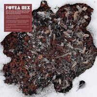 Fovea Hex - The Salt Garden vinyl cover