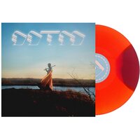 Foxing - Draw Down the Moon (Moon Phase Variant) vinyl cover