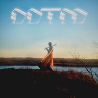 Foxing - Draw Down The Moon vinyl cover