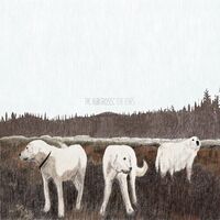 Foxing - The Albatross: Ten Years vinyl cover