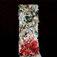 Foxtrott - A Taller Us vinyl cover