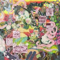 Foyer Red - Yarn The Hours Away vinyl cover