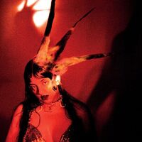Fran Lobo - Burning It Feels Like vinyl cover