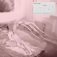Francis Lung - A Dream Is U vinyl cover