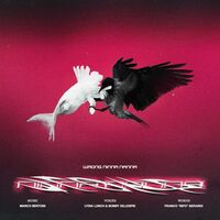 Franco Bifo Berardi - Wrong Ninna Nanna vinyl cover