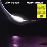 Frank Strazzeri - After The Rain vinyl cover