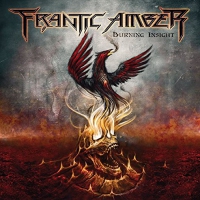 Frantic Amber - Burning Insight vinyl cover