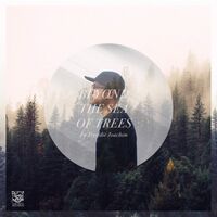 Freddie Joachim - Beyond The Sea Of Trees vinyl cover