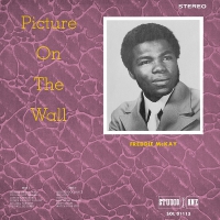 Freddie Mckay - Picture On The Wall vinyl cover
