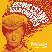 Freddie Steady's Wild Country - Pass That Jug!  vinyl cover