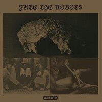 Free the Robots - Datu 2 vinyl cover