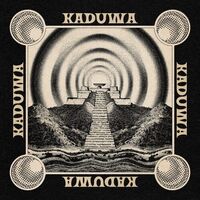 Free The Robots - Kaduwa vinyl cover