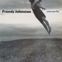 Freedy Johnston - Can You Fly (Clear) vinyl cover