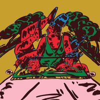 Frnt Bznzz - Hand Signs / Parks vinyl cover