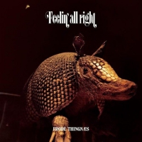 Frode Thingnaes - Feelin' Alright vinyl cover