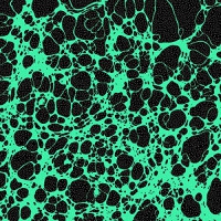 Frog - Frog 2 vinyl cover