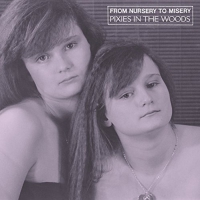From Nursery To Misery - Pixies In The Woods vinyl cover