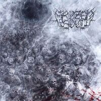 Frozen Soul - Crypt Of Ice vinyl cover