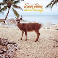 Fruit Bats - Gold Past Life vinyl cover