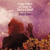 Fruit Bats - Sometimes A Cloud Is Just A Cloud: Slow Growers, Sleeper Hits And Lost Songs 2001–2021 vinyl cover