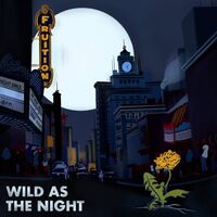 Fruition - Wild As The Night, Broken At The Break Of Day vinyl cover